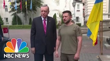 Zelenskyy Meets With Turkish President Erdogan Over Nuclear Power Plant, Grain Exports