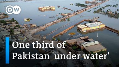 Pakistan struggles to cope with worst monsoon floods in decades | DW News