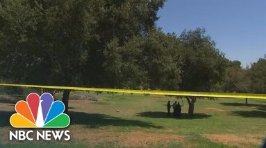 Burning Body Found Hanging From Griffith Park Tree In Los Angeles