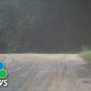 Florida Postal Carrier Mauled By Dogs After Car Breaks Down