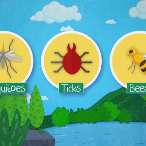 What Are The Main Bugs We Need To Worry About? | Nightly News: Kids Edition