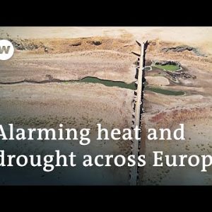 Record drought poses serious threat to Europe's environment and critical infrastructure | DW News