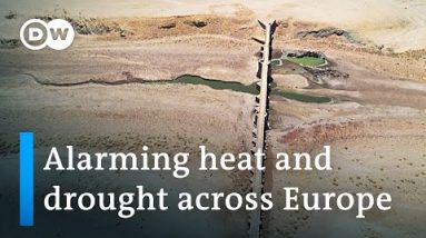 Record drought poses serious threat to Europe's environment and critical infrastructure | DW News