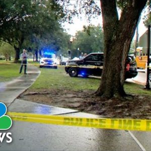 Lightning Strike In Florida Kills Mother Waiting On Son Near School