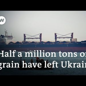 Ukraine grain exports pick up under UN-backed deal | DW News