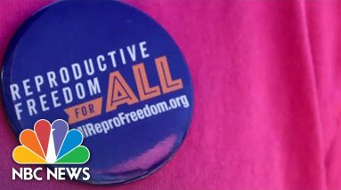 Abortion Rights Becoming Key Issue In Michigan Elections
