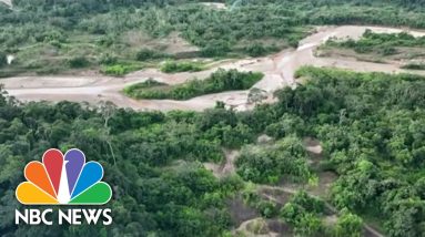 Amazon Rainforest Severely Impacted By Gold Mining