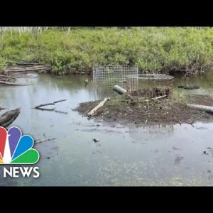 Federal Government Declares Parts Of New England 'Natural Disaster Areas' Due To Dry Conditions