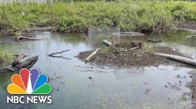 Federal Government Declares Parts Of New England 'Natural Disaster Areas' Due To Dry Conditions