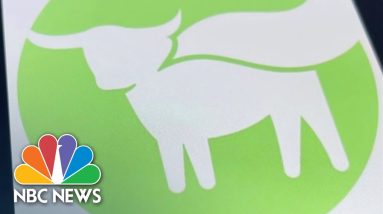 Beyond Meat COO Suspended For Allegedly Biting Man's Nose