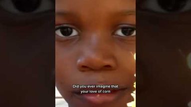 'Corn Kid' knows his vegetables, but doesn't know Tom Hanks #shorts