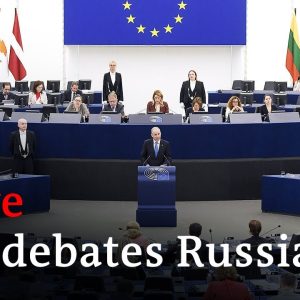 Watch live: European Parliament discusses Ukraine and Russian propaganda | DW News
