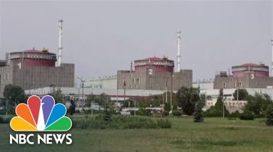 Nuclear Inspectors' Report On Zaporizhzhia Power Plant Indicates Violated Nuclear Standards