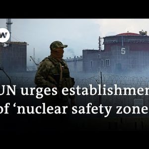 How dangerous is the situation at Zaporizhzhia? | Ukraine latest