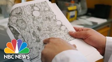 CDC Issues Alert About Virus That Can Cause Respiratory Illness Among Kids