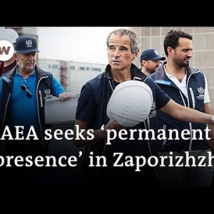 Inspectors arrive at embattled nuclear plant as fears of radiation disaster linger | Ukraine latest