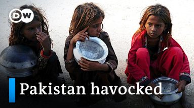 Malnourished and without schools: Pakistan's children after the flood | DW News