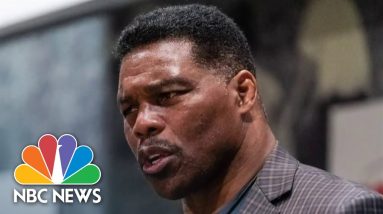 Woman Who Said Herschel Walker Paid For Abortion Also Had Child With Him, Report Says