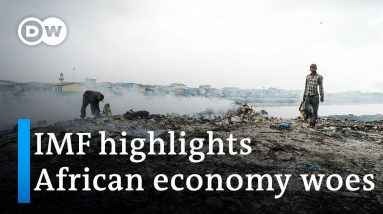 IMF states that Africa's economy is in a precarious position | African News