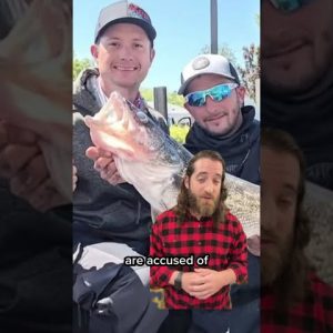 Fishy #Cheating Controversy