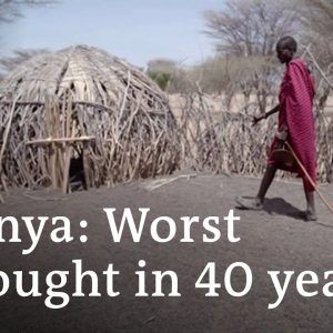 Four consecutive rainy seasons have failed in northern Kenya | DW News
