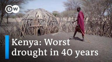 Four consecutive rainy seasons have failed in northern Kenya | DW News