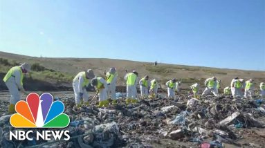 Georgia Police, FBI Search Landfill For Missing Toddler