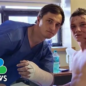 Grizzly Bear Attacks Two College Students In Wyoming