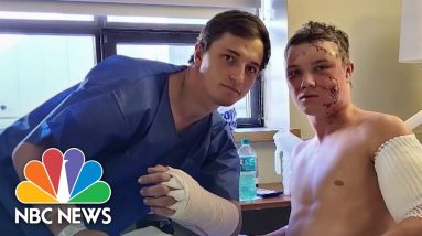 Grizzly Bear Attacks Two College Students In Wyoming