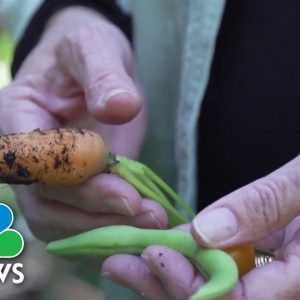 How Smokers Are Using Psychedelics To Help Them Quit For Good