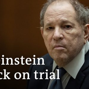 More rape and sexual assault accusations against Weinstein | DW News