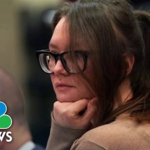 Anna Sorokin Released From ICE Custody To Serve House Arrest, Fighting Deportation