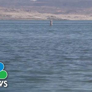 Nevada Boy Dies From Rare Brain-Eating Amoeba