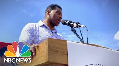 New Herschel Walker Accusation During Senate Campaign’s Final Stretch
