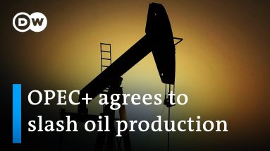 OPEC+ to cut oil output by 2 million barrels per day | DW News