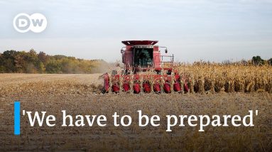 How inflation and economic policy impact the work of US farmers | DW News