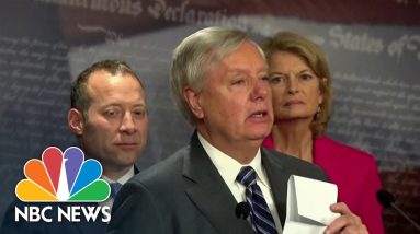 Appeals Court Denies Sen. Graham's Request To Avoid Georgia Elections Investigations Subpoena
