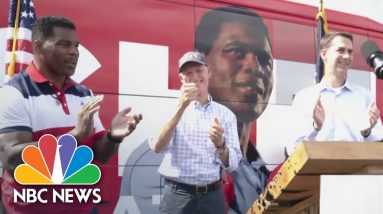 Sens. Cotton, Scott Supporting Herschel Walker’s Campaign In Georgia