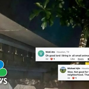 ‘It’s Very Scary’: Community Concerned As Missing Python Roams Houston Area