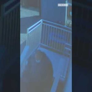 Video Shows Alleged #Kidnapping Of California Family