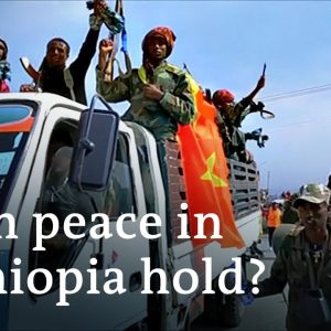 Ethiopia-Tigray peace deal: How to find common ground after bloody war | DW News