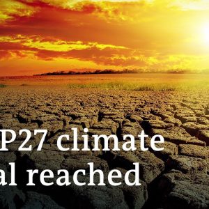 Deal reached at COP27: What's in it and what's missing? | DW News