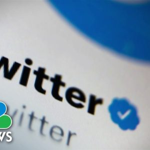 Elon Musk Gets Political On Twitter Ahead Of Midterm Elections