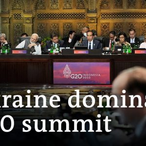 G20 leaders condemn war in Ukraine in draft declaration | DW News