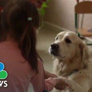 How Ukrainian Children Cope With Trauma Of War