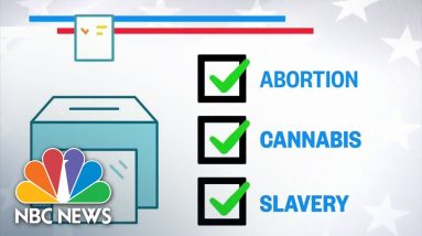 Abortion, Slavery And Marijuana Legalization Among Top Ballot Measure Issues