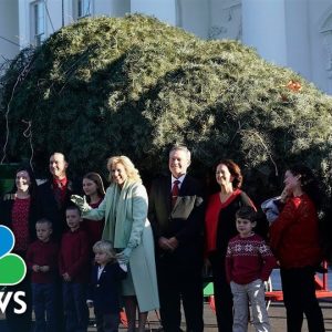 Jill Biden Receives White House Christmas Tree