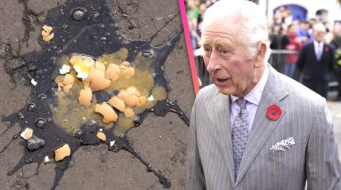 King Charles PELTED by Eggs