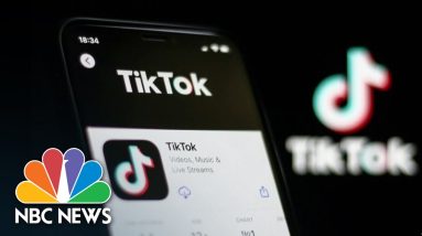 How TikTok's Moderators Are Stopping Disinformation On The App Ahead Of Midterms
