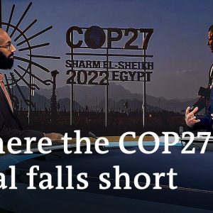 UN climate talks yield historic deal on compensation for vulnerable nations | DW News